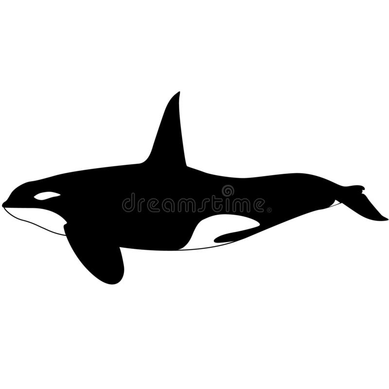 Detail Killer Whale Silhouettes Nomer 23