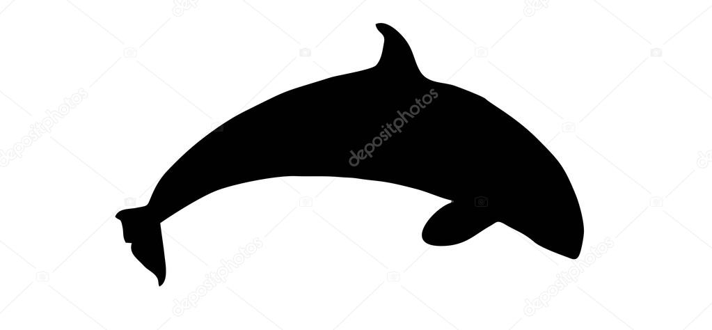 Detail Killer Whale Silhouettes Nomer 24