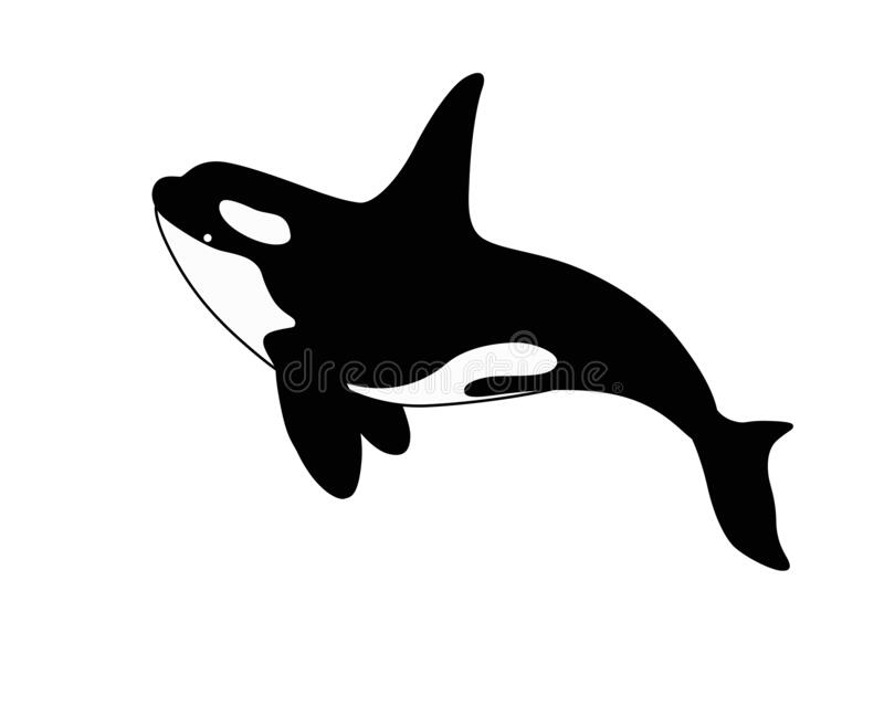 Detail Killer Whale Silhouettes Nomer 4