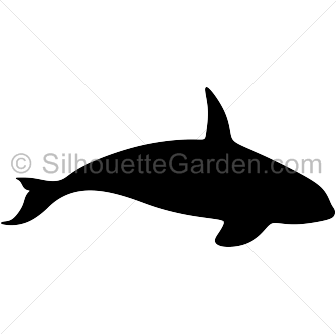 Detail Killer Whale Silhouettes Nomer 30