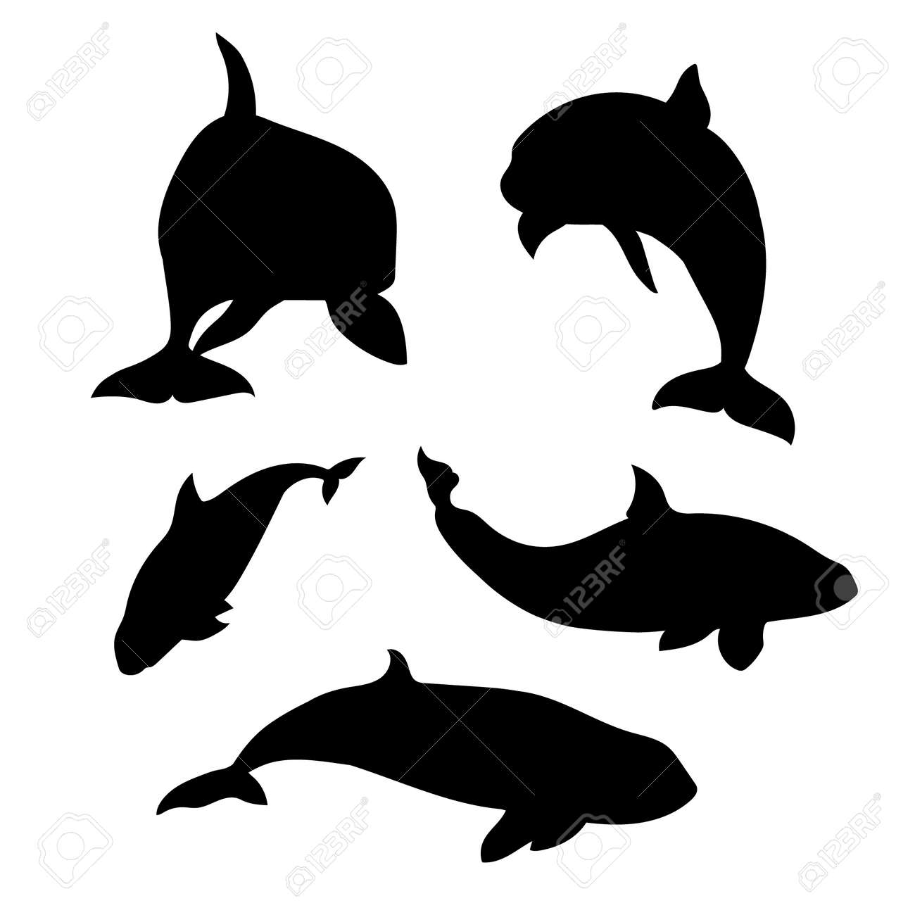 Detail Killer Whale Silhouettes Nomer 33
