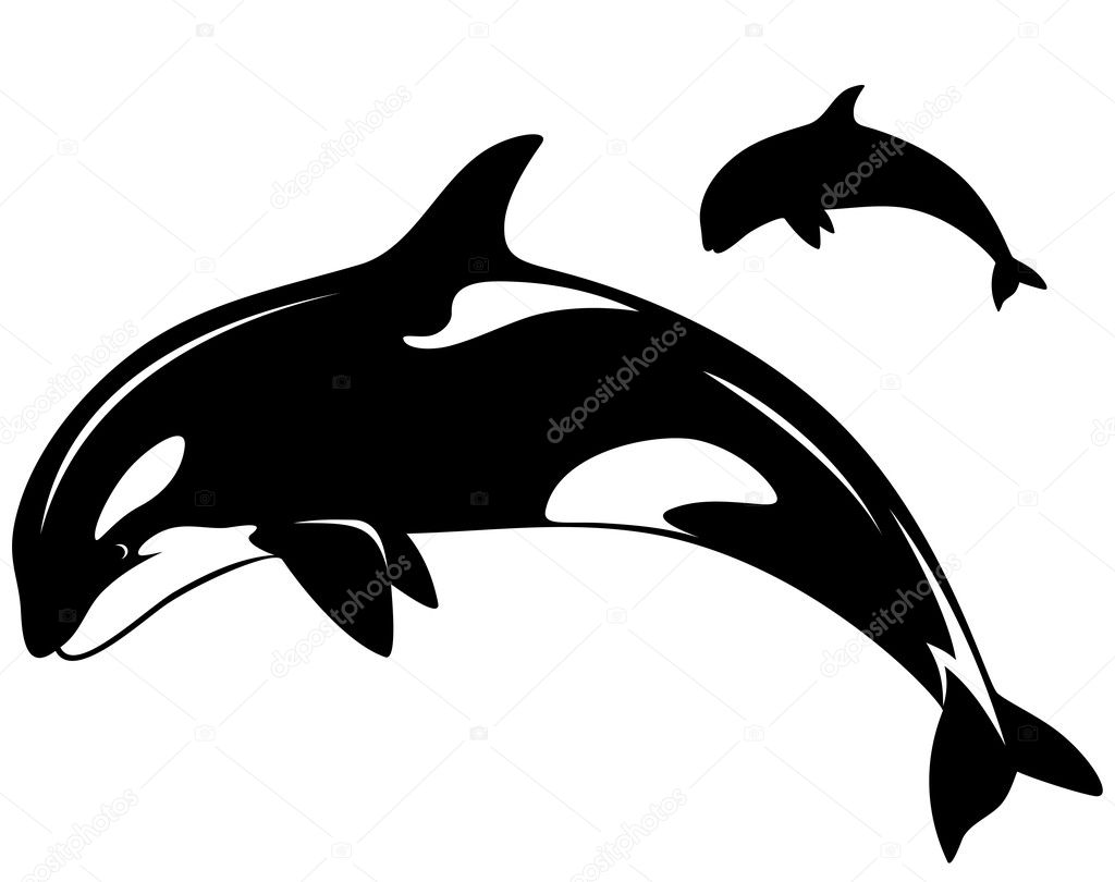 Detail Killer Whale Silhouettes Nomer 34