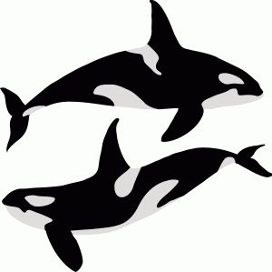 Detail Killer Whale Silhouettes Nomer 35