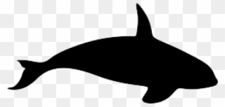 Detail Killer Whale Silhouettes Nomer 40