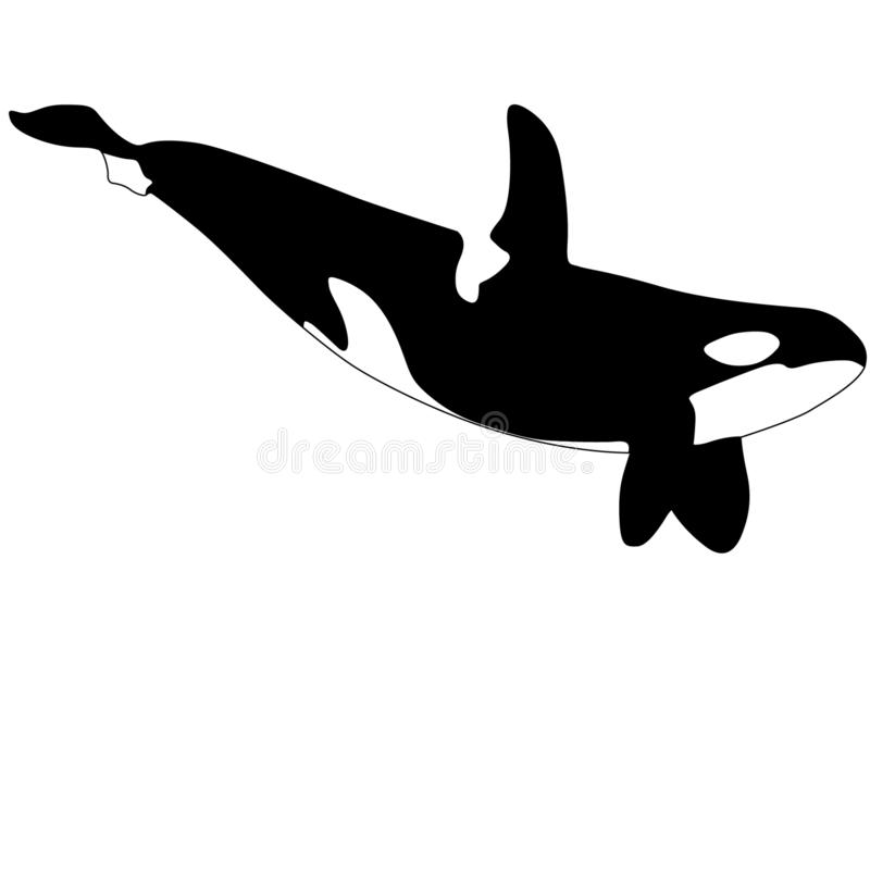 Detail Killer Whale Silhouettes Nomer 41