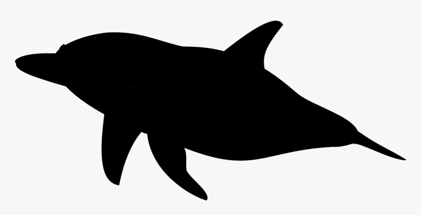 Detail Killer Whale Silhouettes Nomer 42