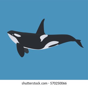 Detail Killer Whale Silhouettes Nomer 43