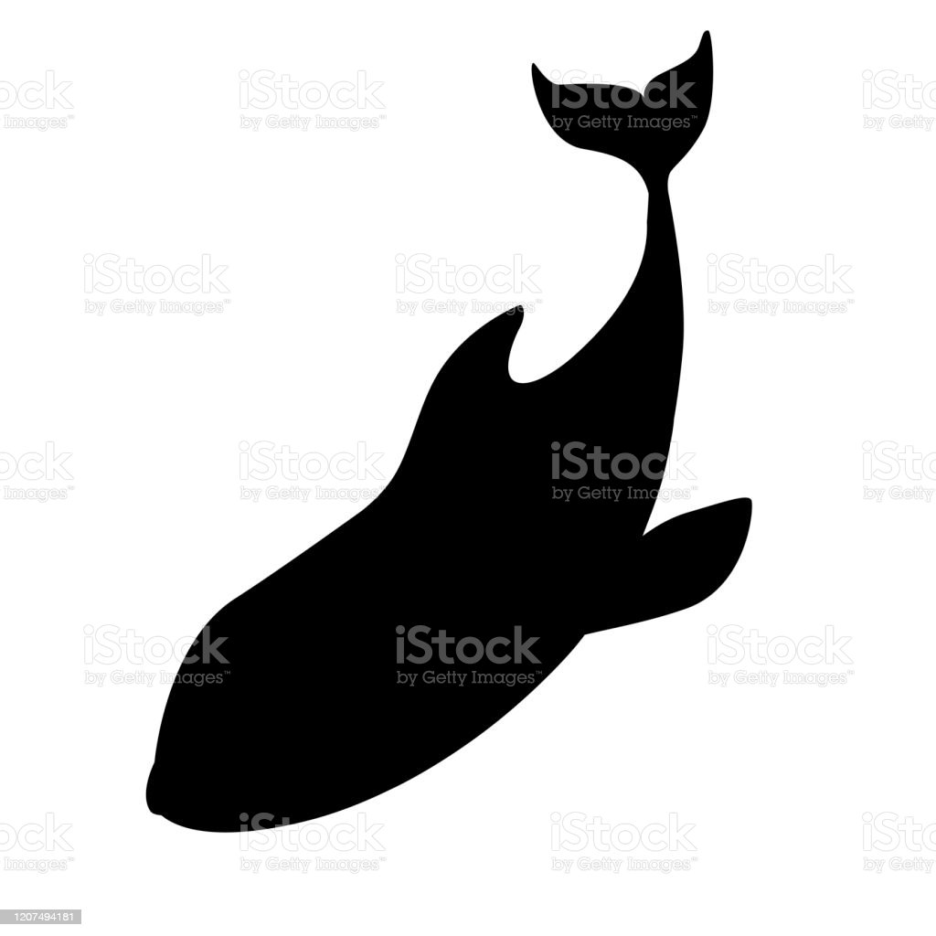 Detail Killer Whale Silhouettes Nomer 44
