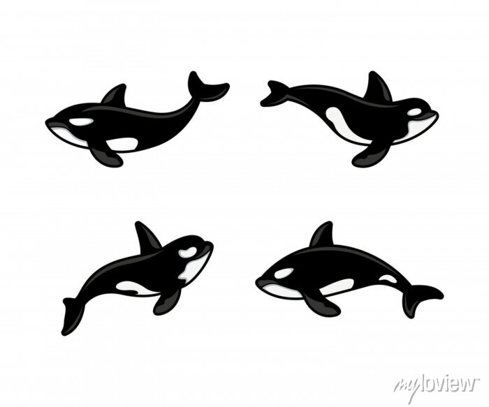 Detail Killer Whale Silhouettes Nomer 45