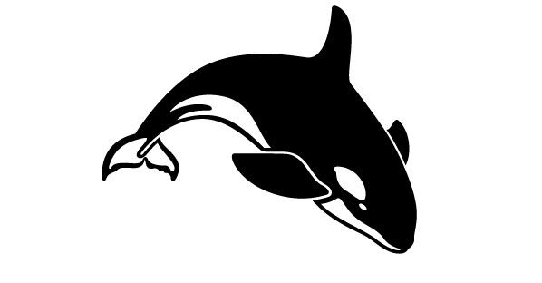 Detail Killer Whale Silhouettes Nomer 6