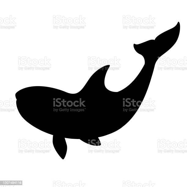 Detail Killer Whale Silhouettes Nomer 46