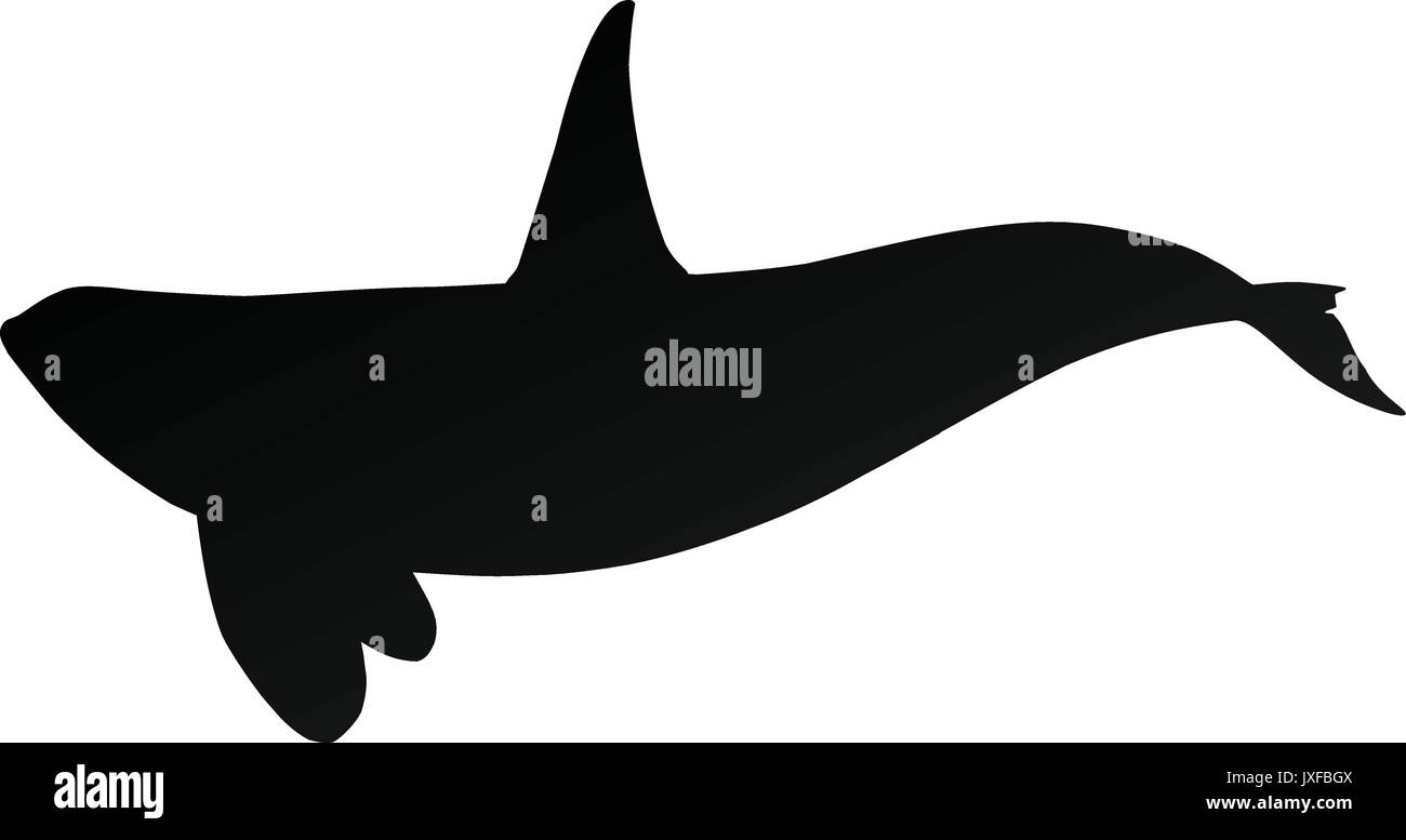 Detail Killer Whale Silhouettes Nomer 47