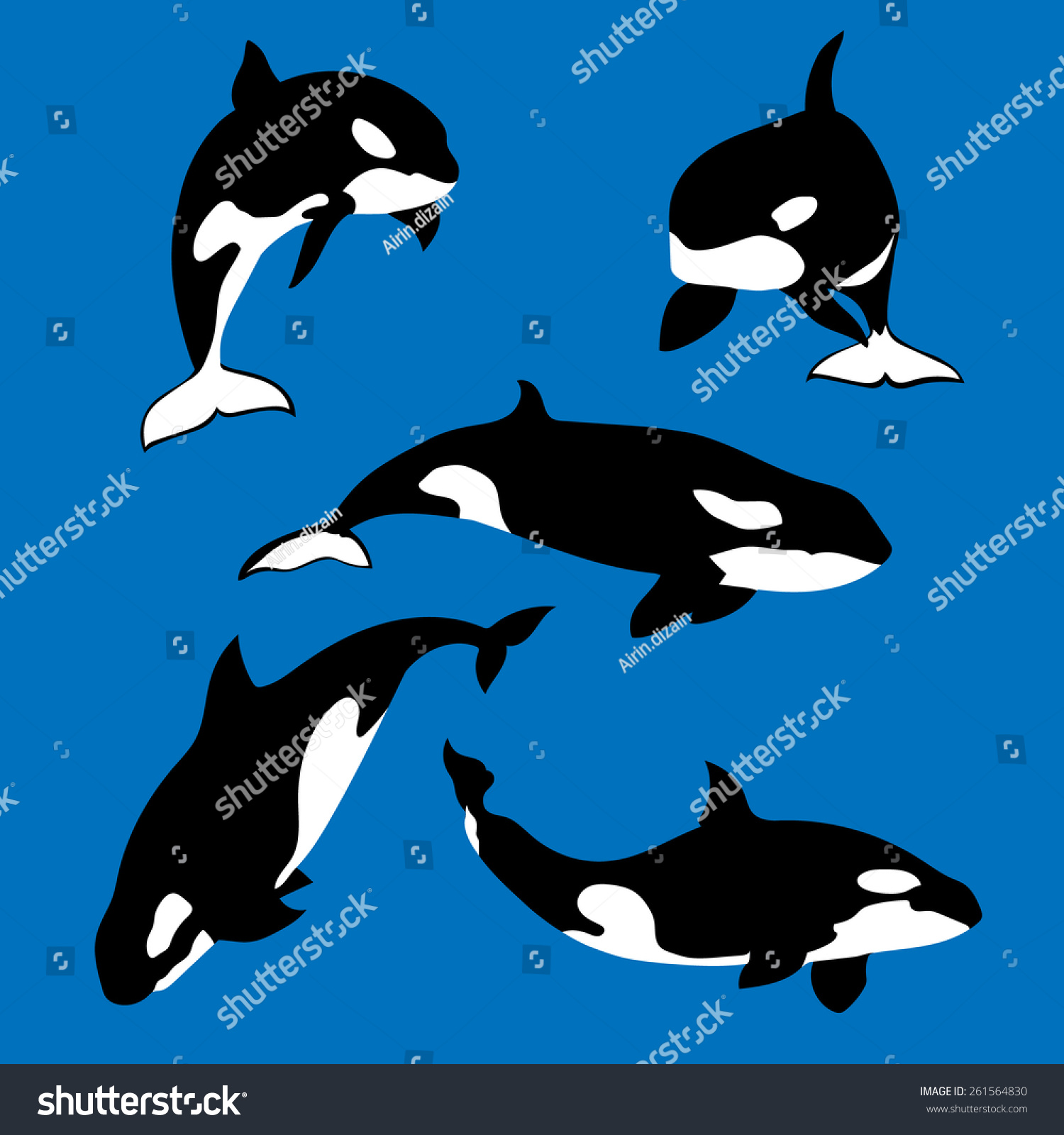 Detail Killer Whale Silhouettes Nomer 50
