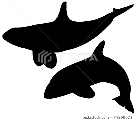 Detail Killer Whale Silhouettes Nomer 54