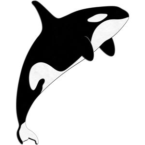 Detail Killer Whale Silhouettes Nomer 7
