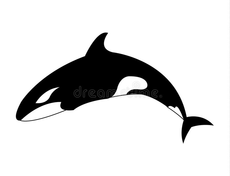 Detail Killer Whale Silhouettes Nomer 9