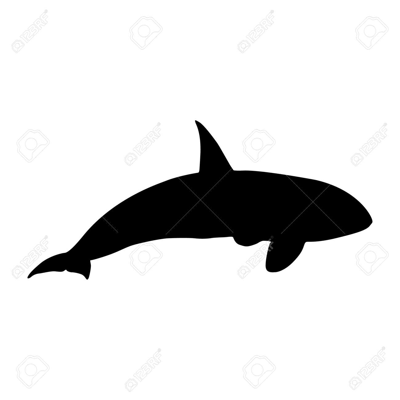 Detail Killer Whale Silhouettes Nomer 10