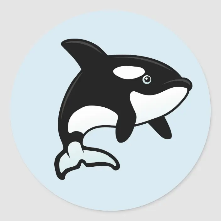 Detail Killer Whale Sticker Nomer 14