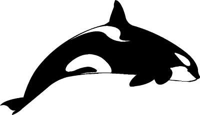 Detail Killer Whale Sticker Nomer 18