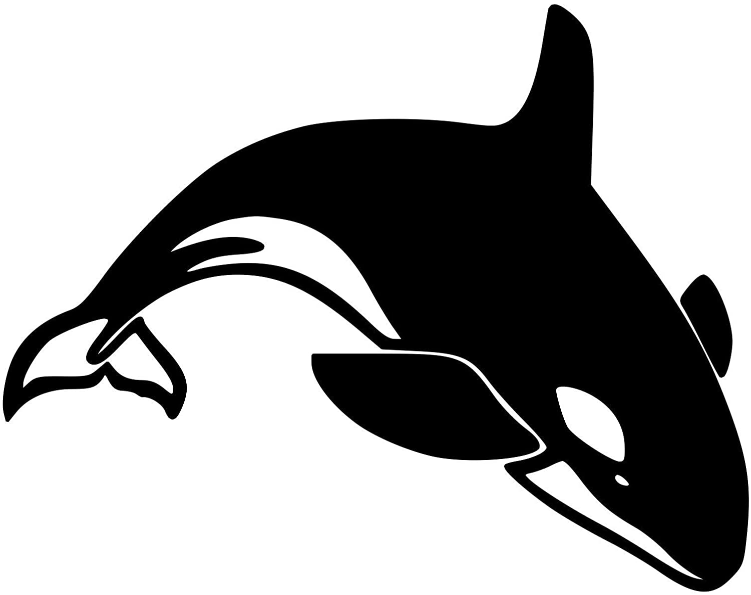 Detail Killer Whale Sticker Nomer 20