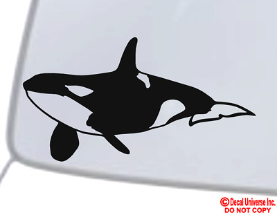 Detail Killer Whale Sticker Nomer 30