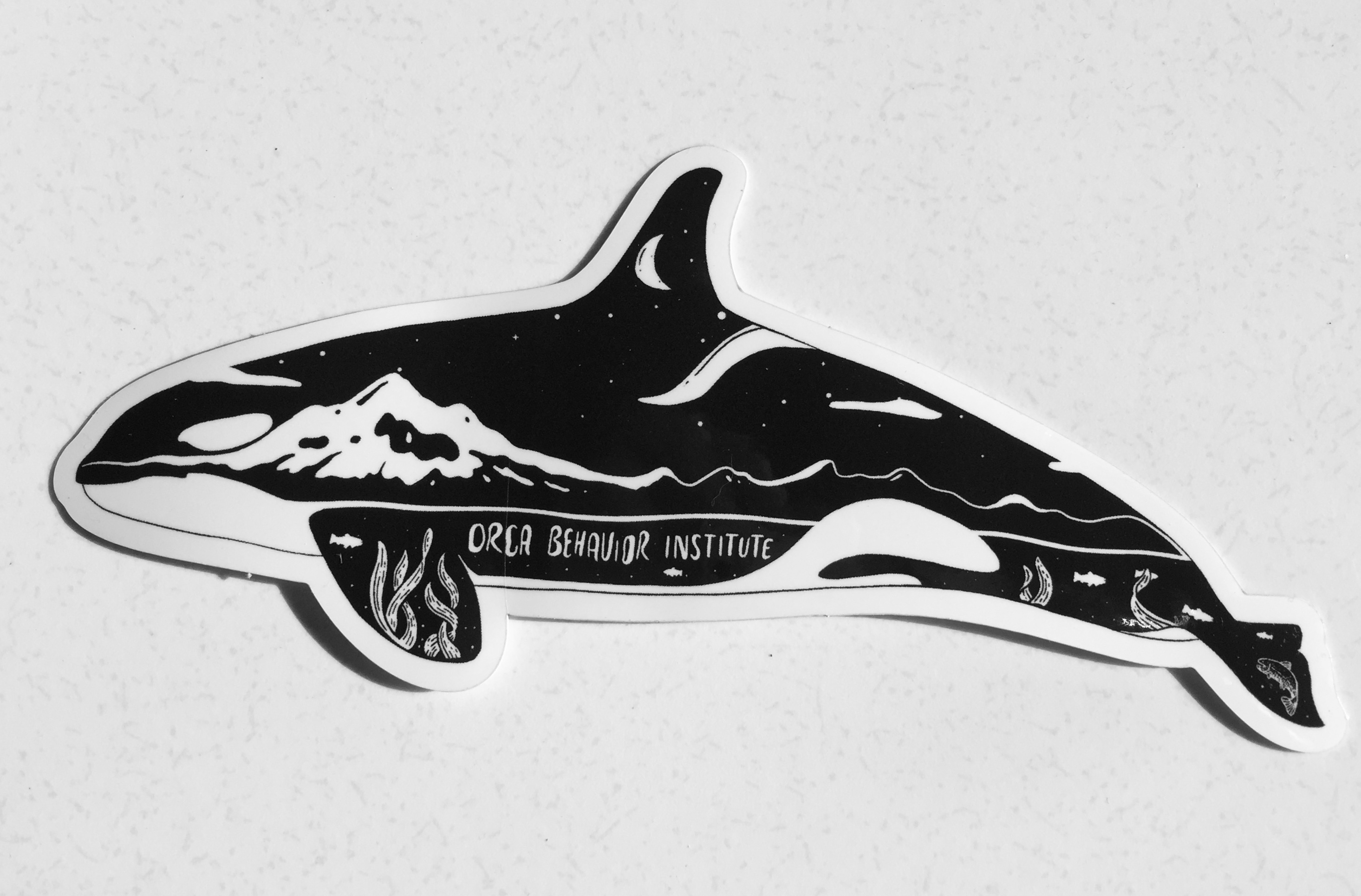 Detail Killer Whale Sticker Nomer 33
