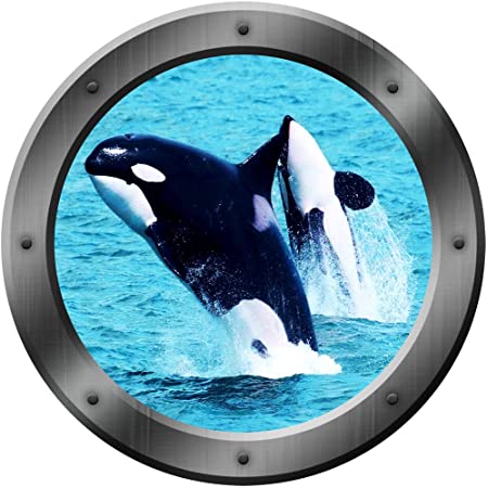 Detail Killer Whale Sticker Nomer 34