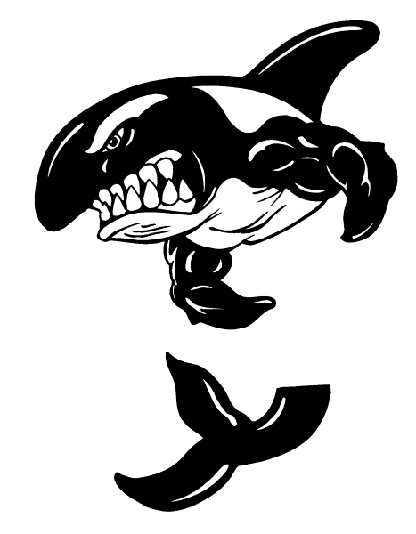 Detail Killer Whale Sticker Nomer 36