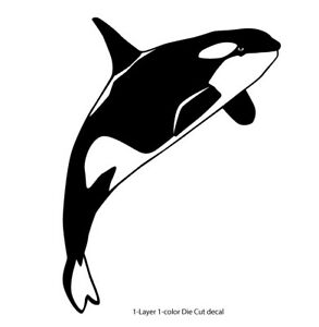 Detail Killer Whale Sticker Nomer 38
