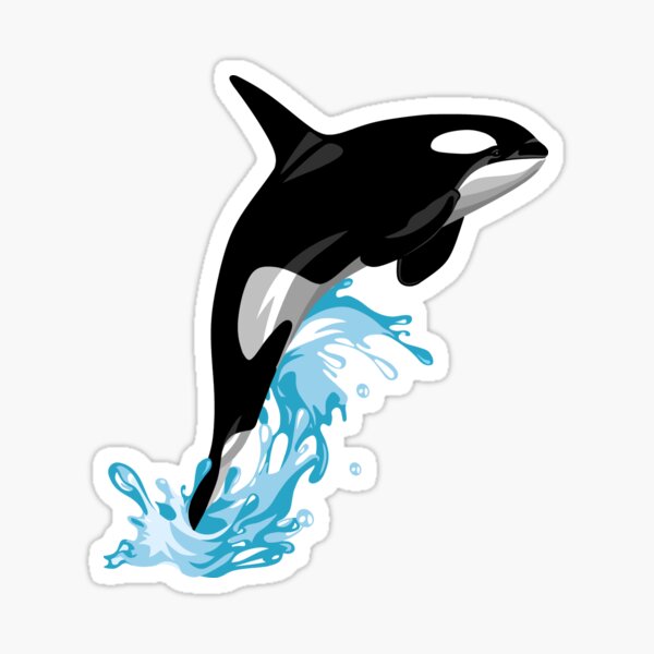 Detail Killer Whale Sticker Nomer 5