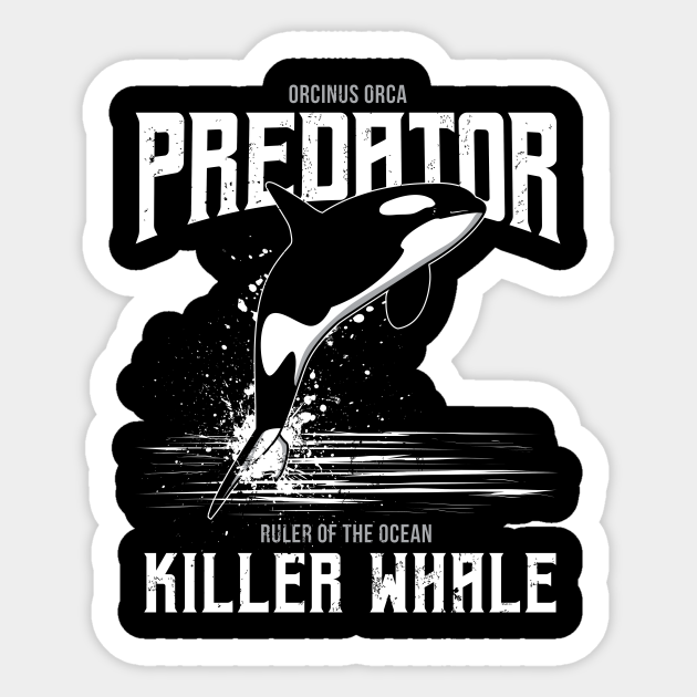 Detail Killer Whale Sticker Nomer 40