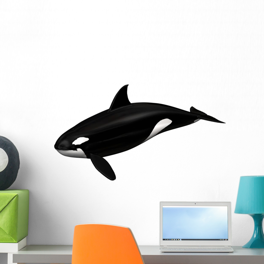 Detail Killer Whale Sticker Nomer 41