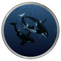 Detail Killer Whale Sticker Nomer 52