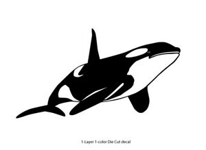 Detail Killer Whale Sticker Nomer 57