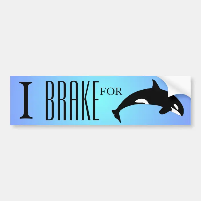 Detail Killer Whale Sticker Nomer 58