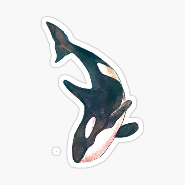 Detail Killer Whale Sticker Nomer 8