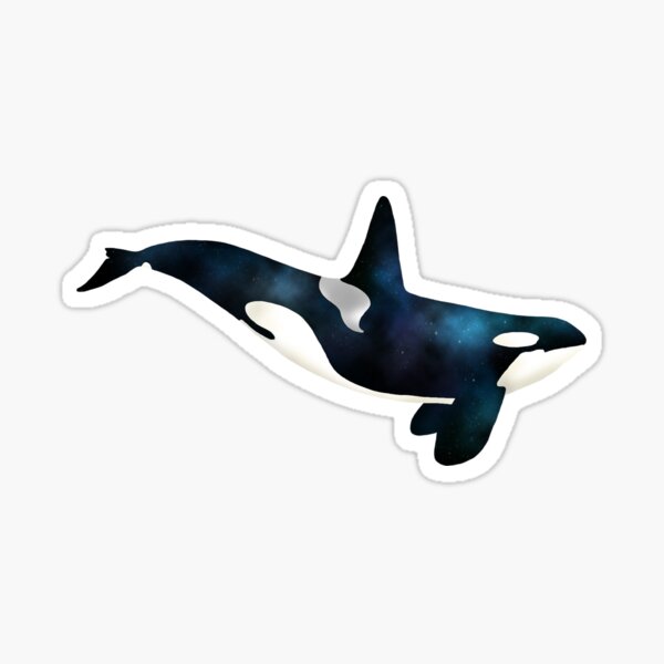 Detail Killer Whale Sticker Nomer 10