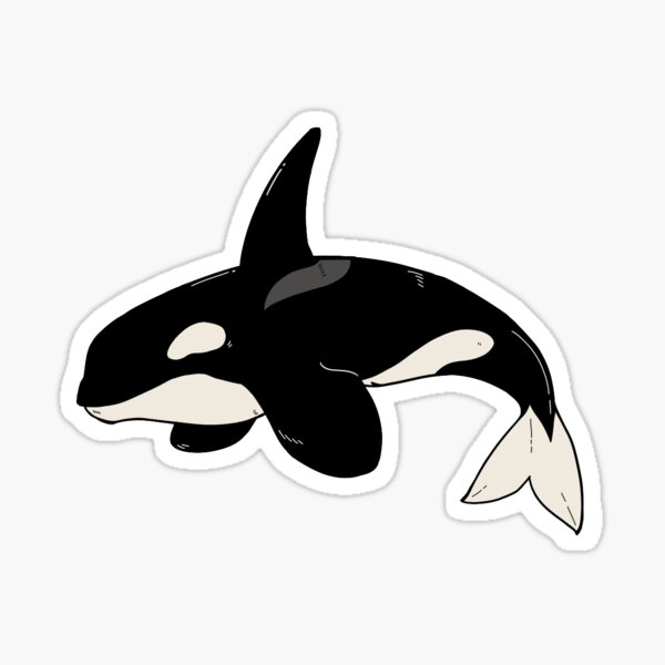 Detail Killer Whale Stickers Nomer 2