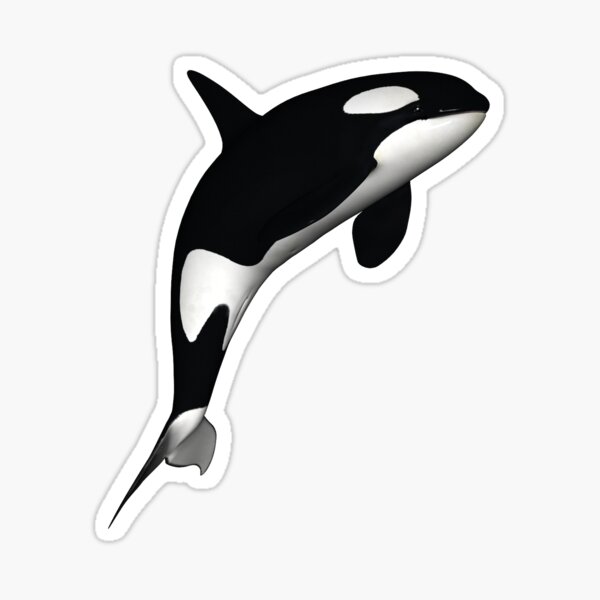 Detail Killer Whale Stickers Nomer 3