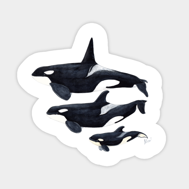 Detail Killer Whale Stickers Nomer 39