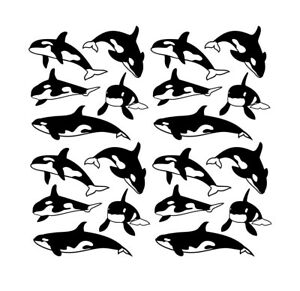 Detail Killer Whale Stickers Nomer 54