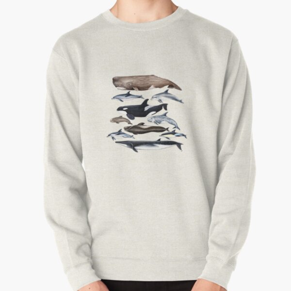 Detail Killer Whale Sweater Nomer 2