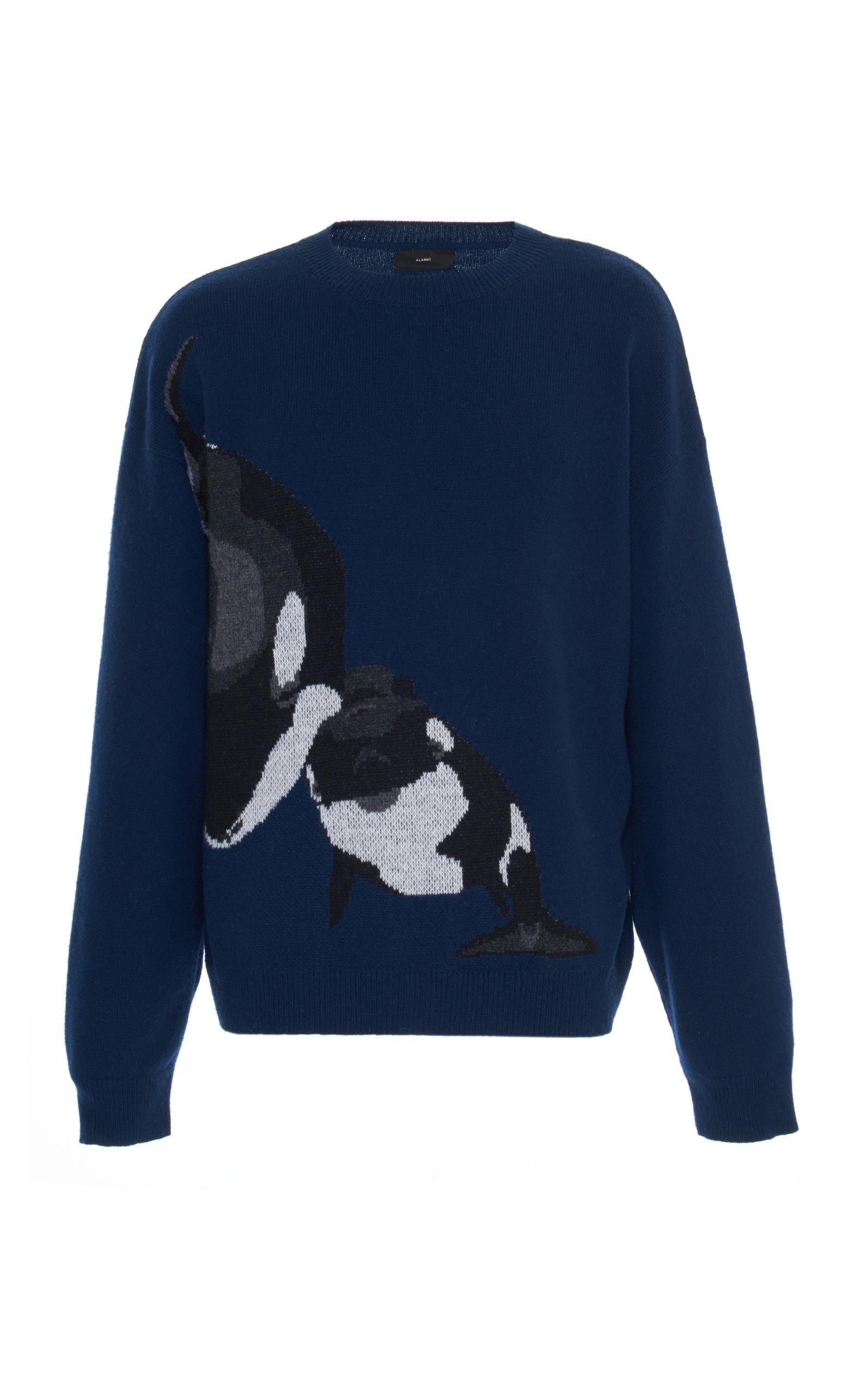 Detail Killer Whale Sweater Nomer 13