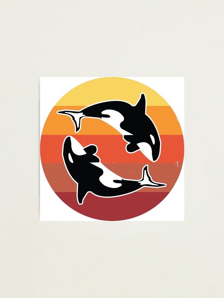 Detail Killer Whale Sweater Nomer 28