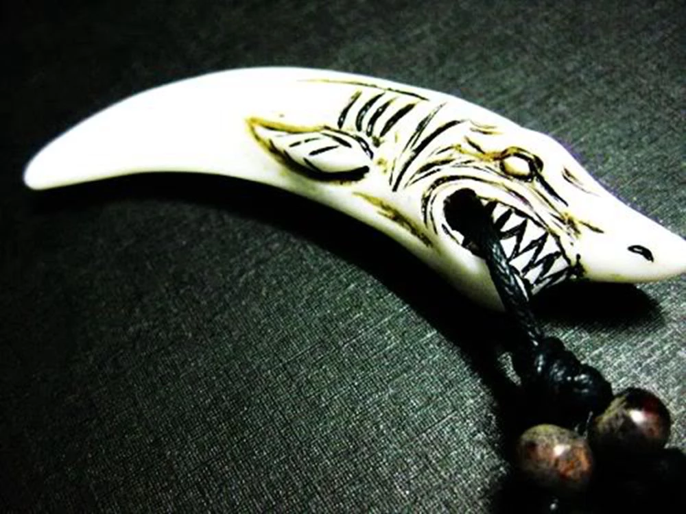 Detail Killer Whale Tooth Necklace Nomer 5
