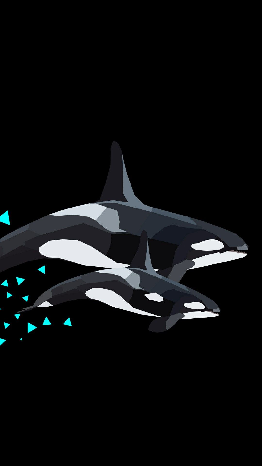 Download Killer Whale Wallpaper Iphone Nomer 15