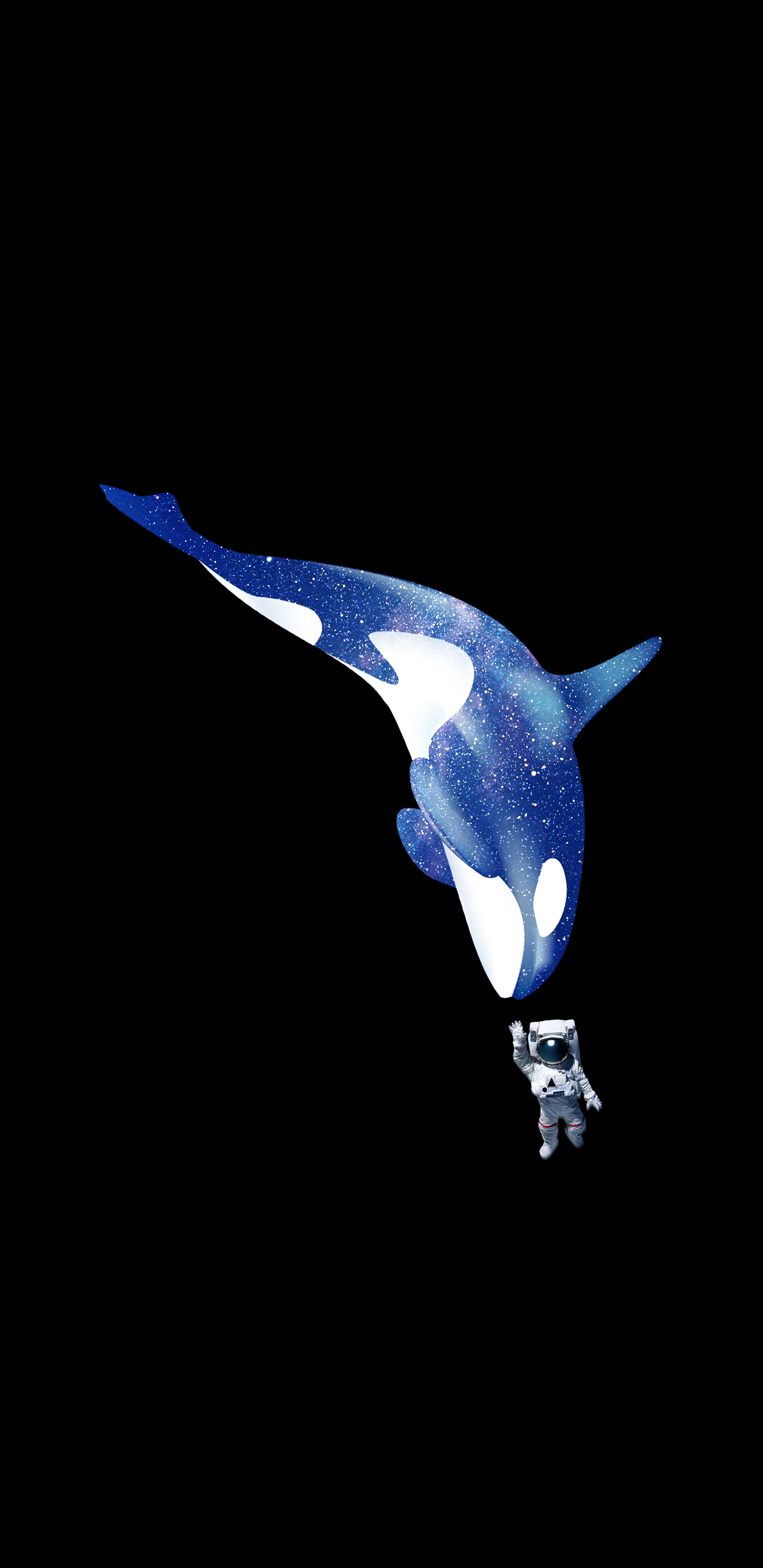 Detail Killer Whale Wallpaper Iphone Nomer 21