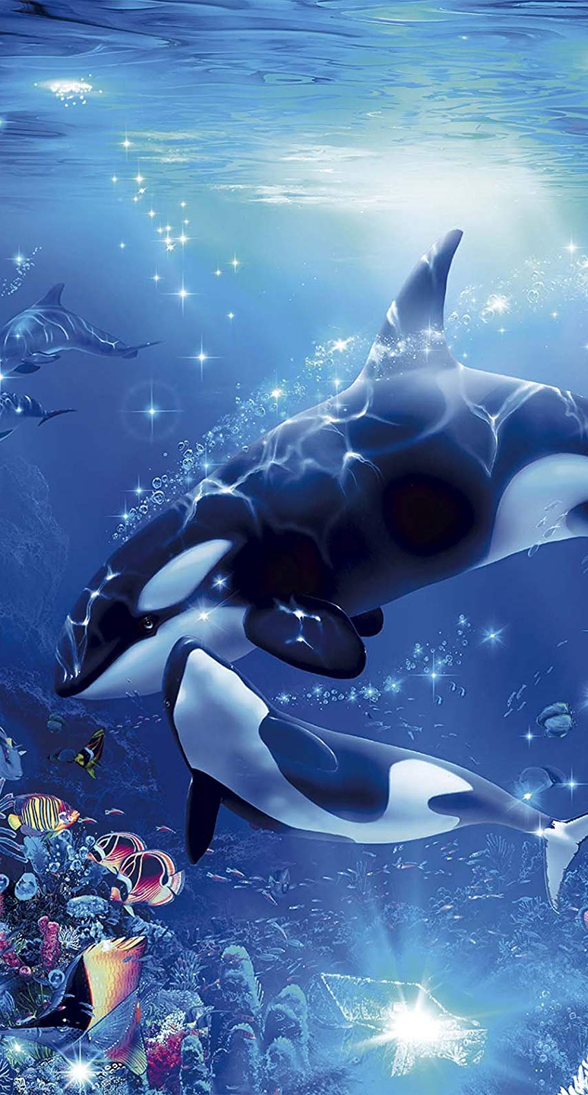 Detail Killer Whale Wallpaper Iphone Nomer 56