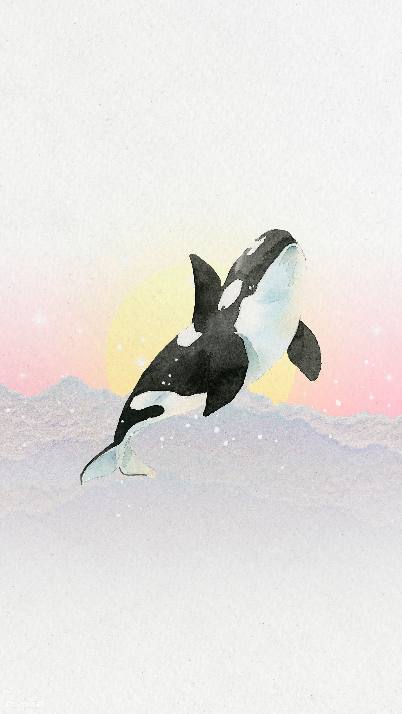 Detail Killer Whale Wallpaper Iphone Nomer 7