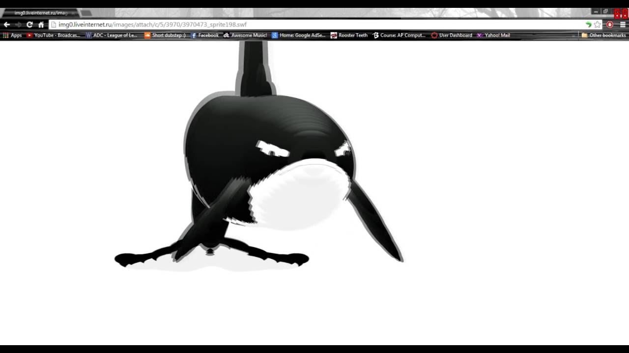 Detail Killer Whale Website Mouse Nomer 10